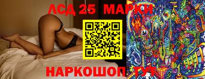 стаф Новодвинск