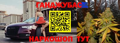 стаф Новодвинск