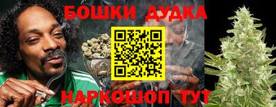 стаф Новодвинск