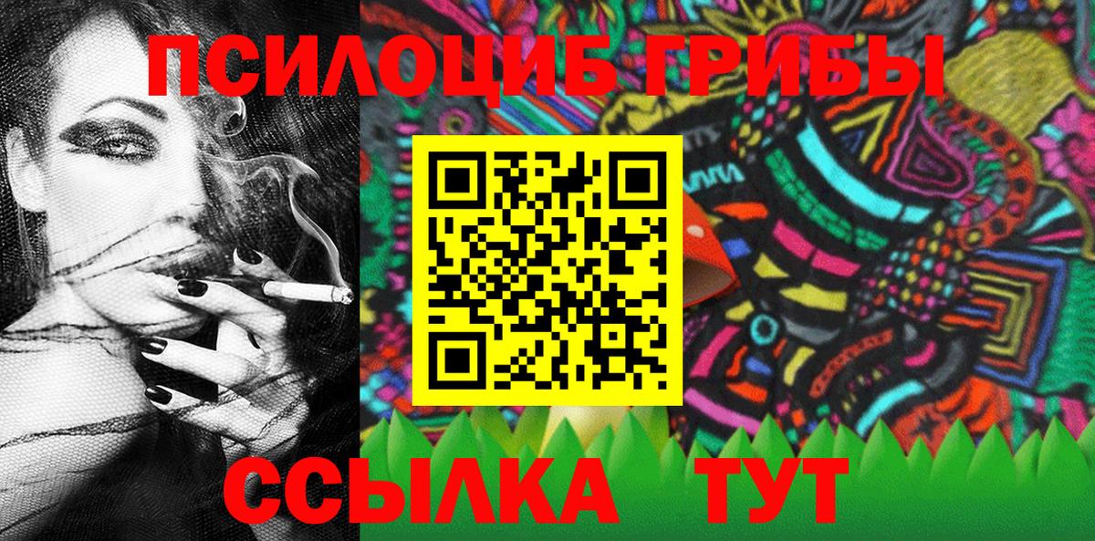 Псилоцибиновые грибы Psilocybine cubensis  Вход с VPN  Сегежа 